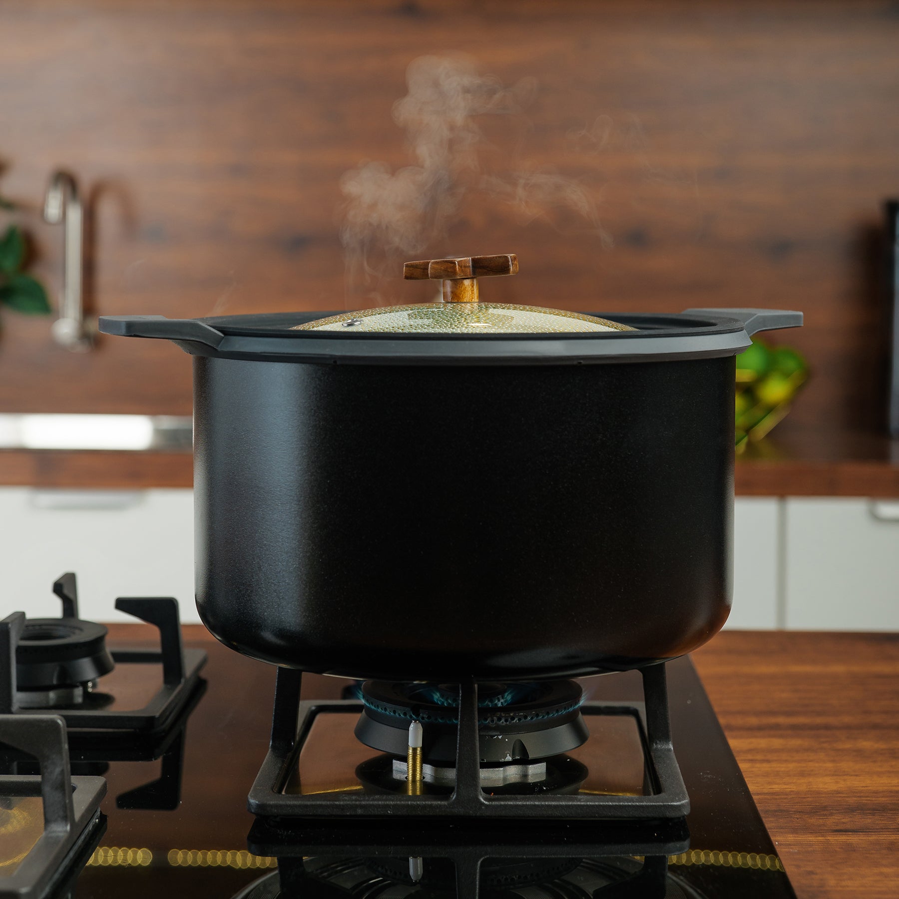 Nonstick Stock Pot